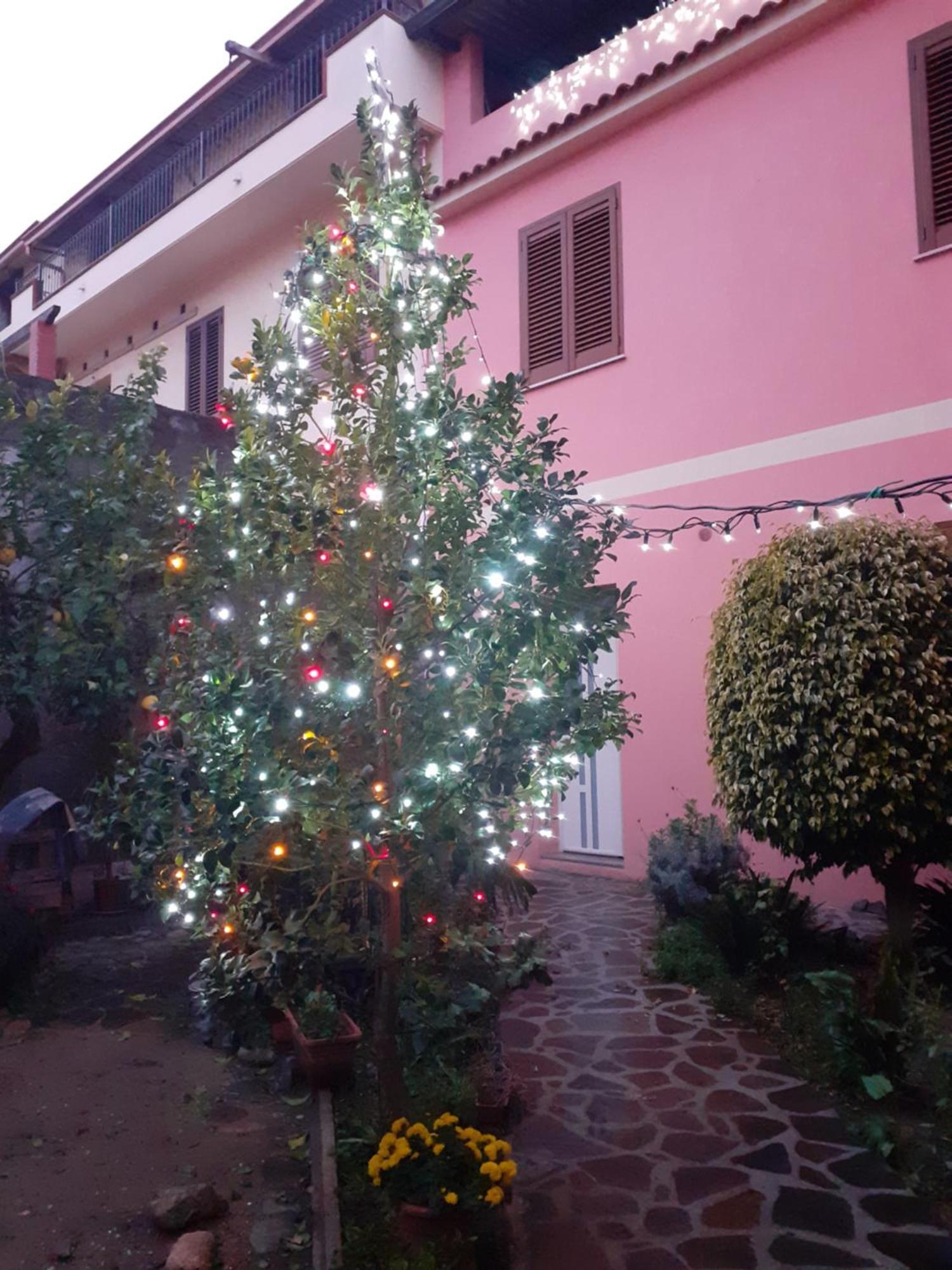 L'agrifoglio Di Emy